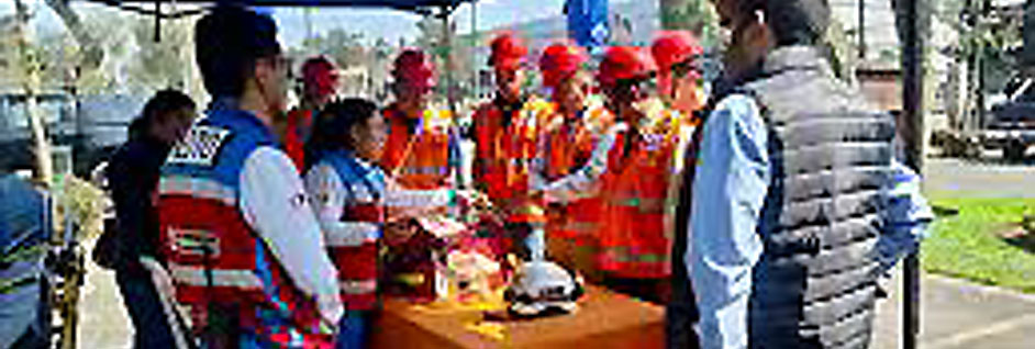 Soluciones para sector público e industria